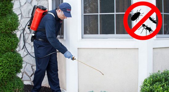 Yenifoça Akrep İlaçlama böcek ilaçlama ve haşere kontrolü — ilaclama-tr.com